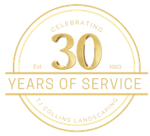 A logo for a company celebrating 30 years of service.