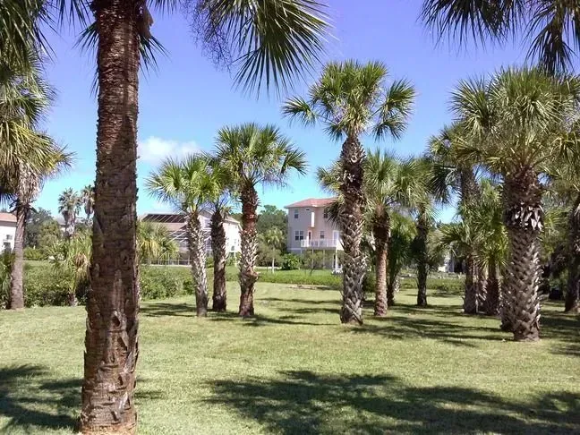 landscaping port richey fl