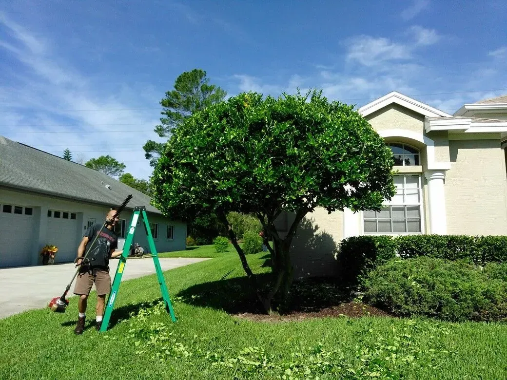 landscaping port richey fl