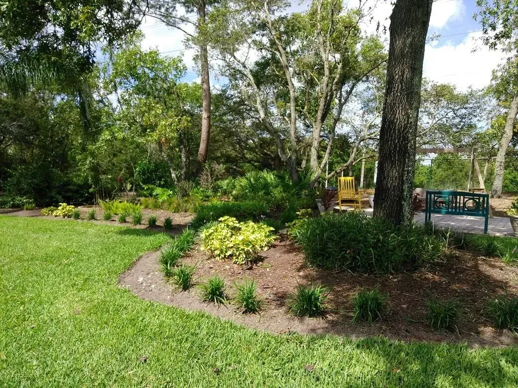 tree removal tarpon springs
