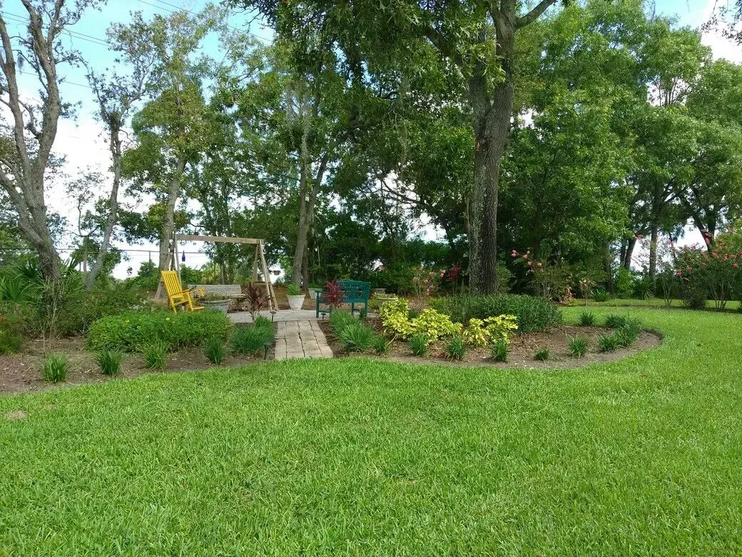 tree removal tarpon springs
