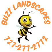 Buzz Landscapes Logo Buzz Landscapes Logo