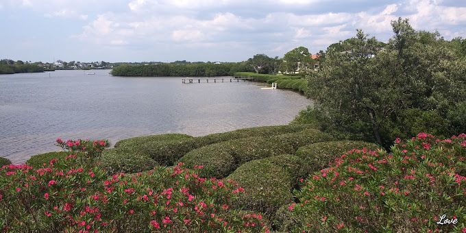 landscaping tarpon springs fl
