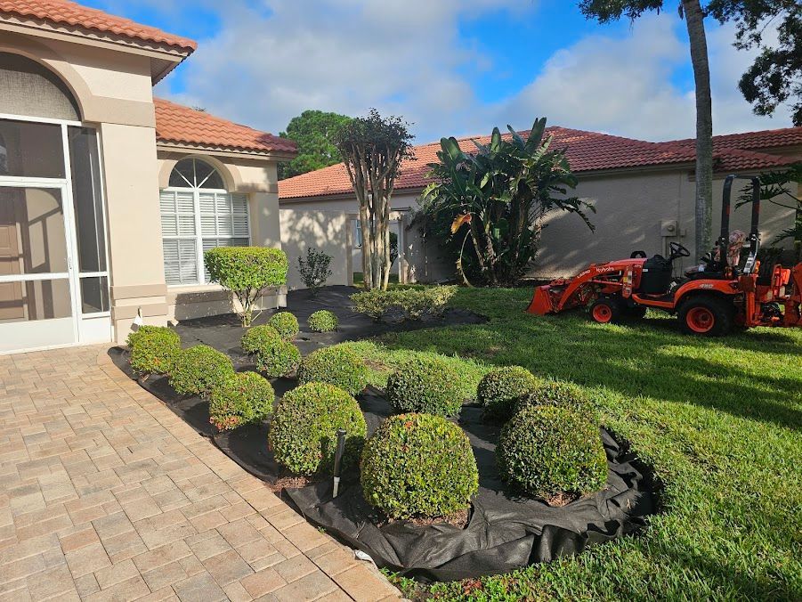landscaping tarpon springs
