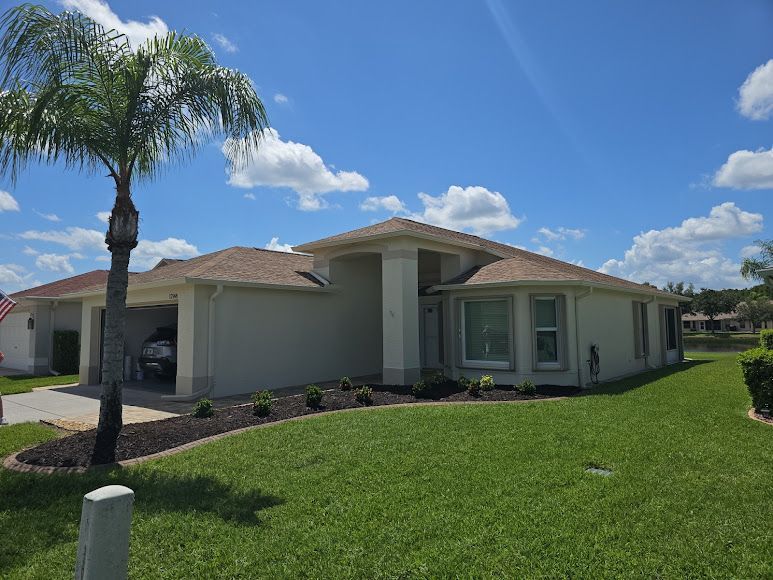tree trimming services elfers fl tree trimming services elfers fl