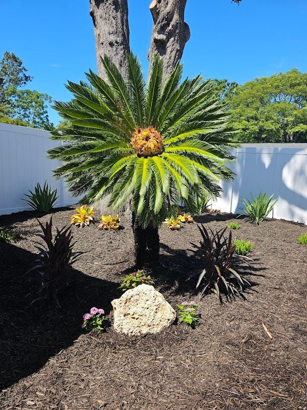 tree trimming services new port richey fl tree trimming services new port richey fl