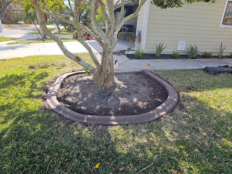 Front yard tree in a circular stone planter beside a house, with grass and a sidewalk nearby.
