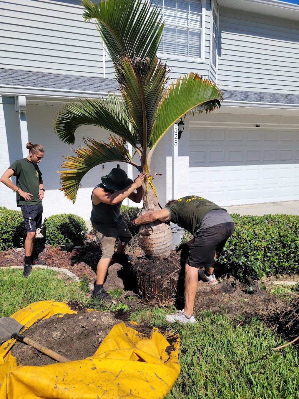 sprinkler repair new port richey
