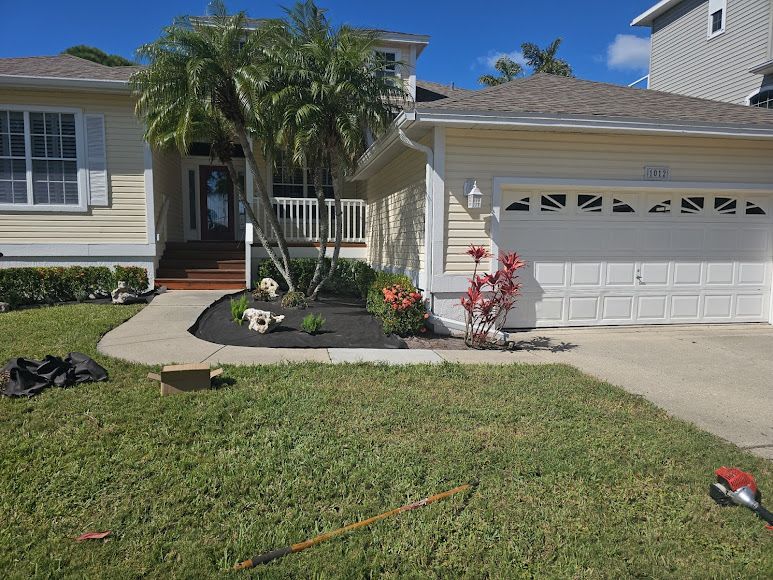 tree trimming new port richey fl