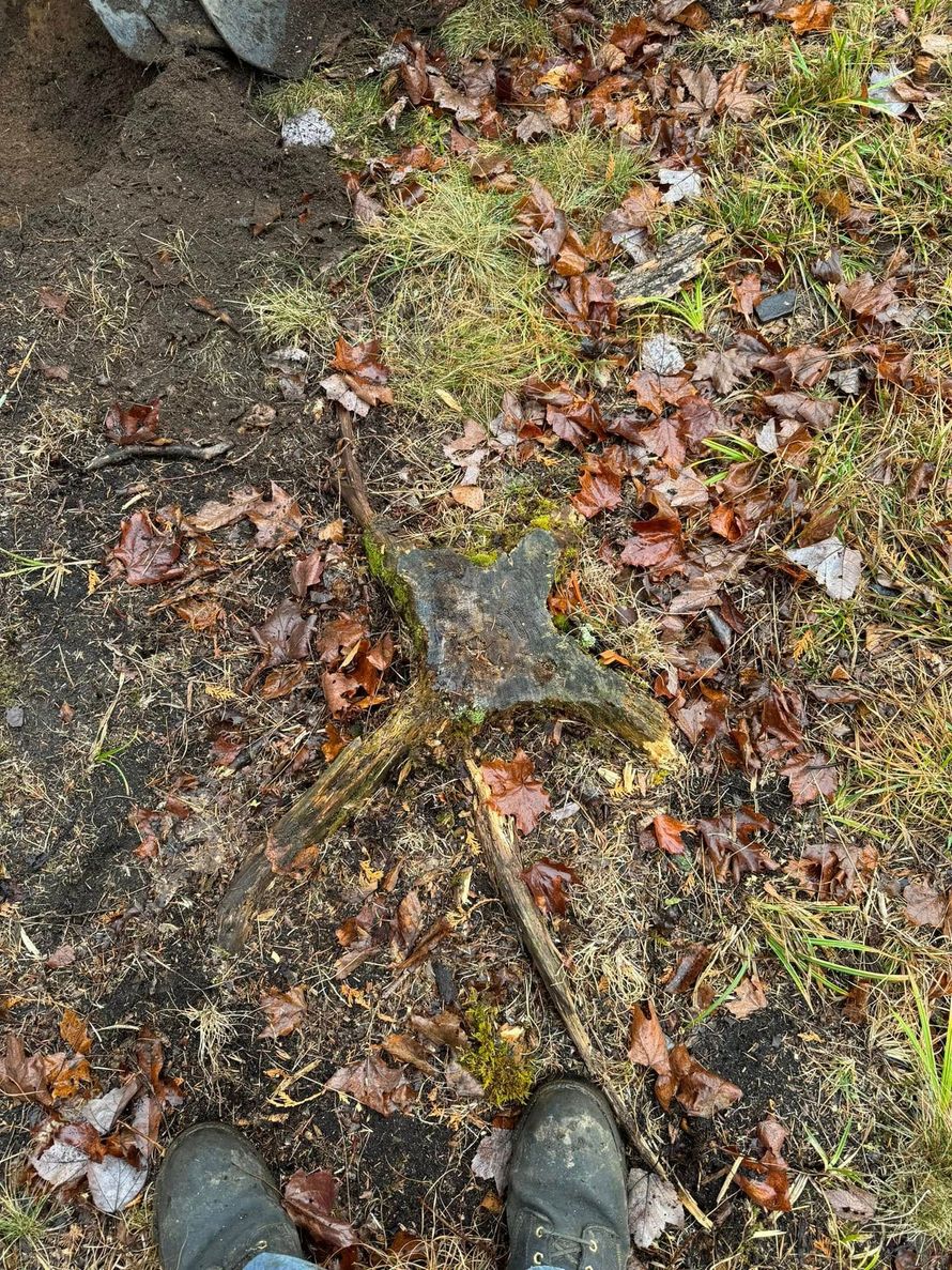 A person is standing on a pile of leaves on the ground.