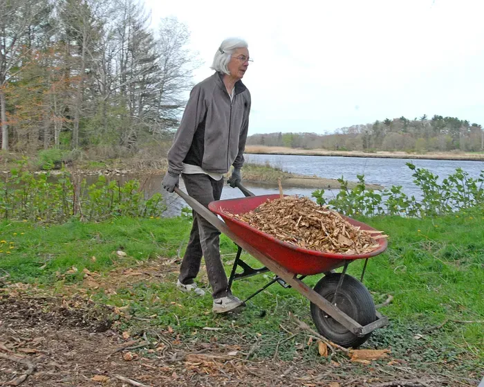 A woman is pushing a wheelbarrow full of wood chips