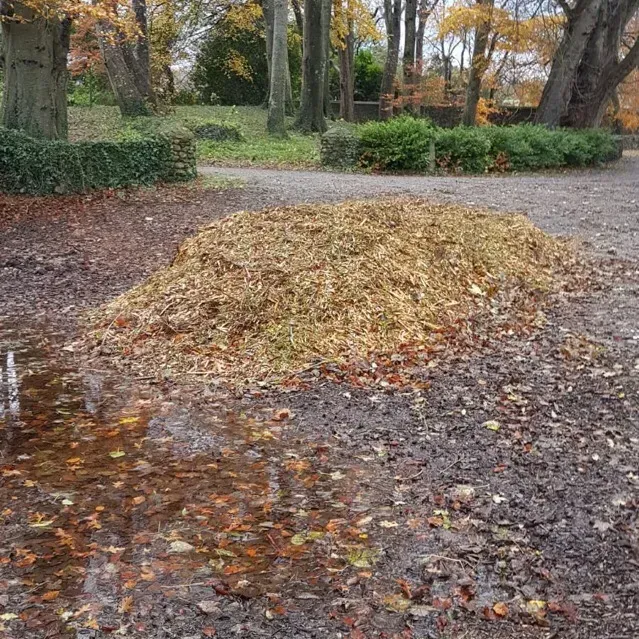 A pile of leaves is sitting in the middle of a parking lot.