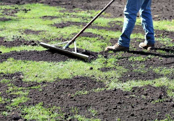 A person is raking a lawn with a rake.