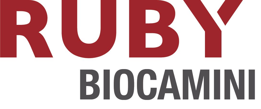 Assistenza Ruby