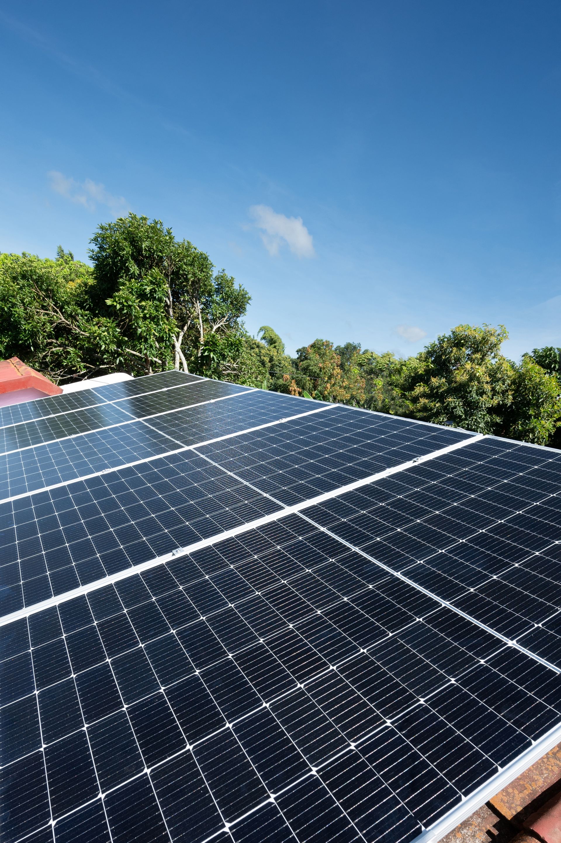 Solar panels on a rooftop under a clear blue sky with trees in the background