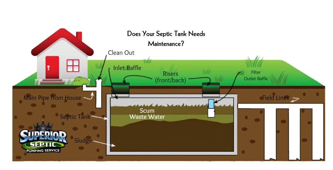 Cutaway of a house and yard showing a septic system tank and drain field underground