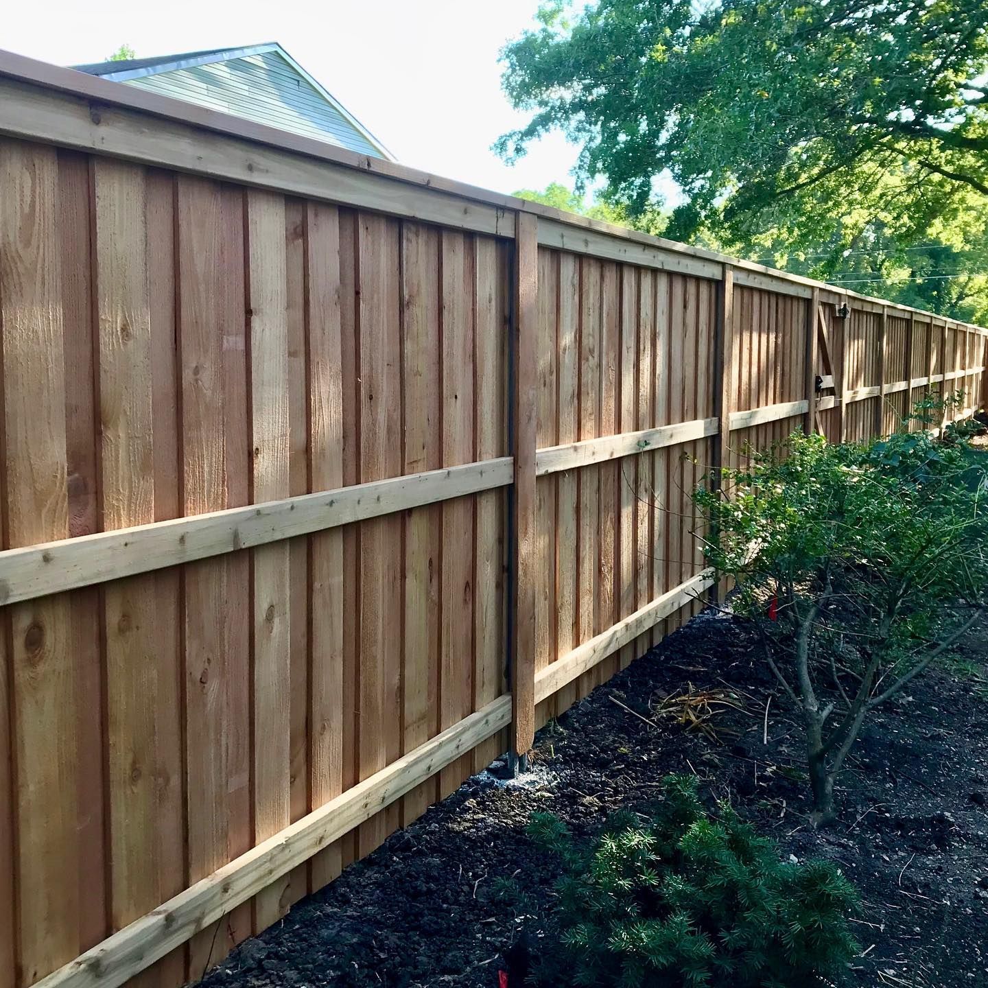 Wooden privacy fence in a backyard, with dark brown boards and green shrubbery.