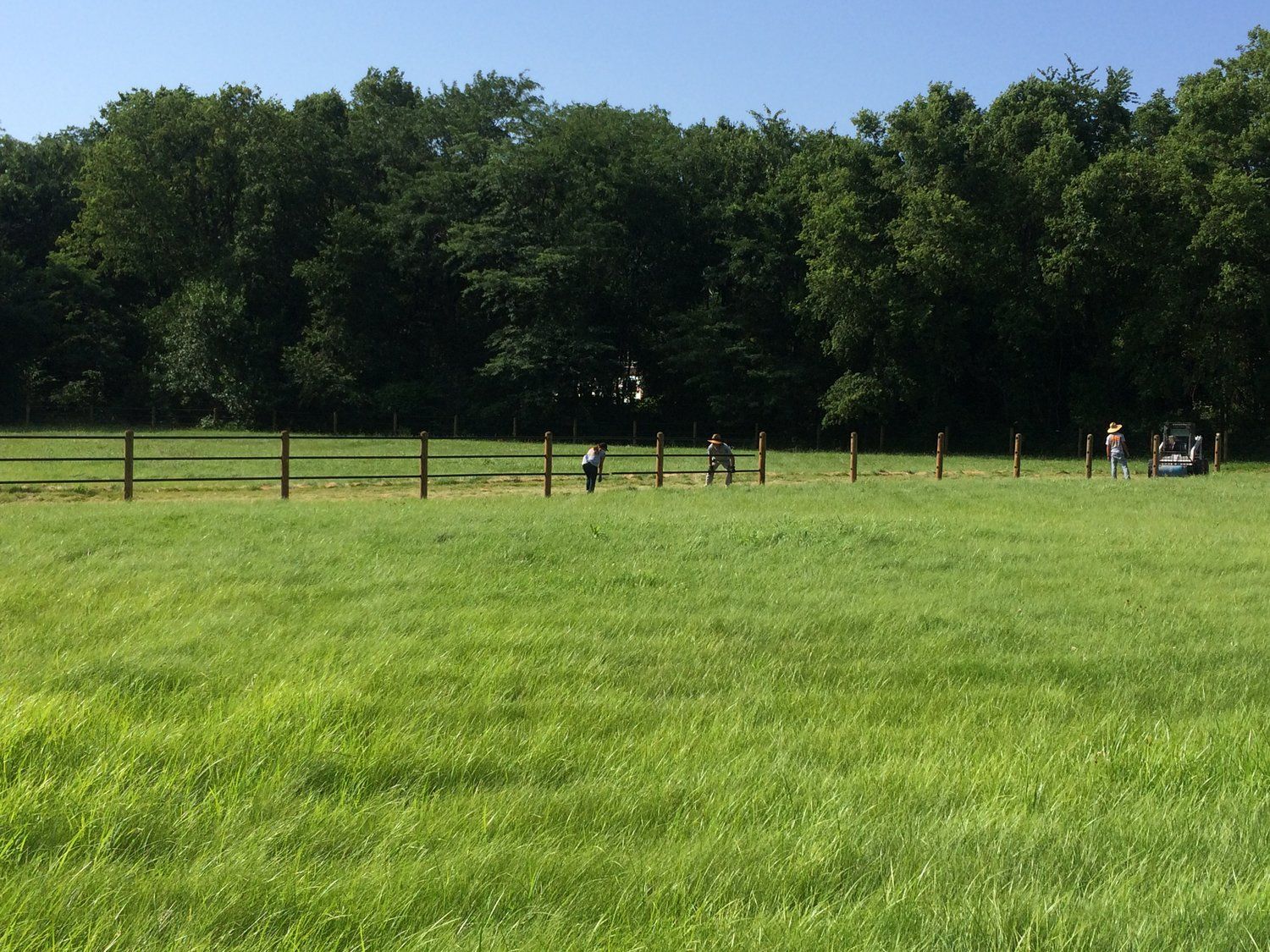 People constructing a fence in a grassy field, with trees in the background, under a clear, blue sky.