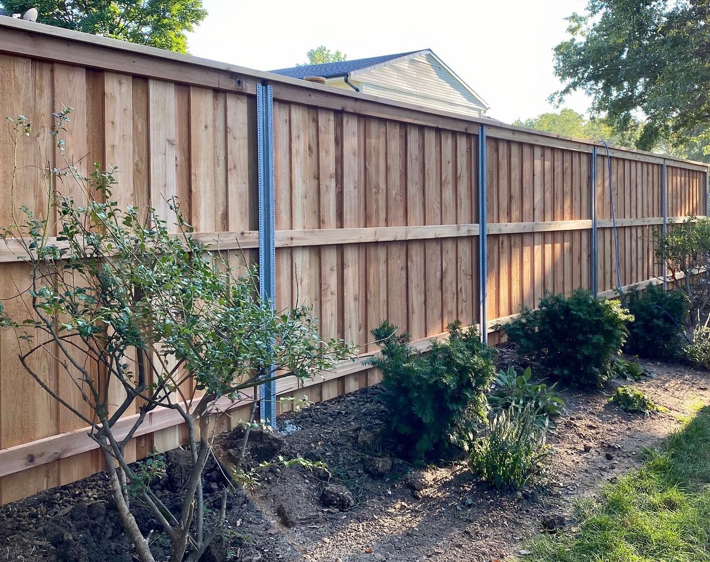 Wooden fence with vertical planks and metal posts, alongside bushes in a garden.