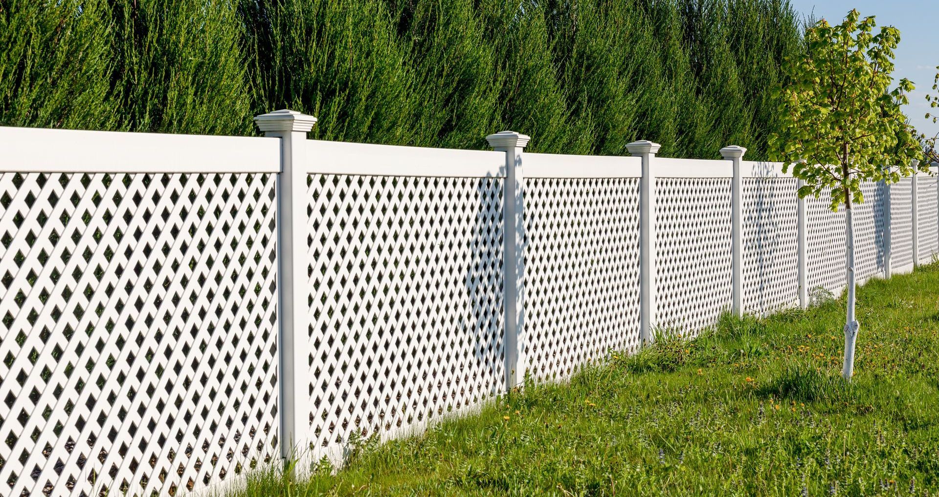 White lattice fence with decorative posts, set against green grass and a backdrop of trees.
