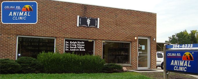 Celina Road Animal Hospital Inc