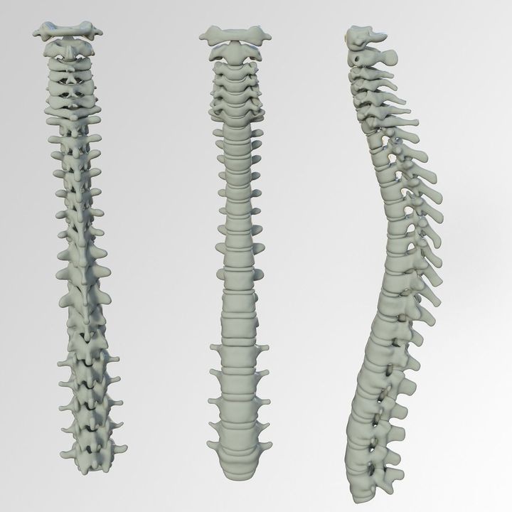 Meadowood Family Chiropractic, St. Vital, Winnipeg, Wellness