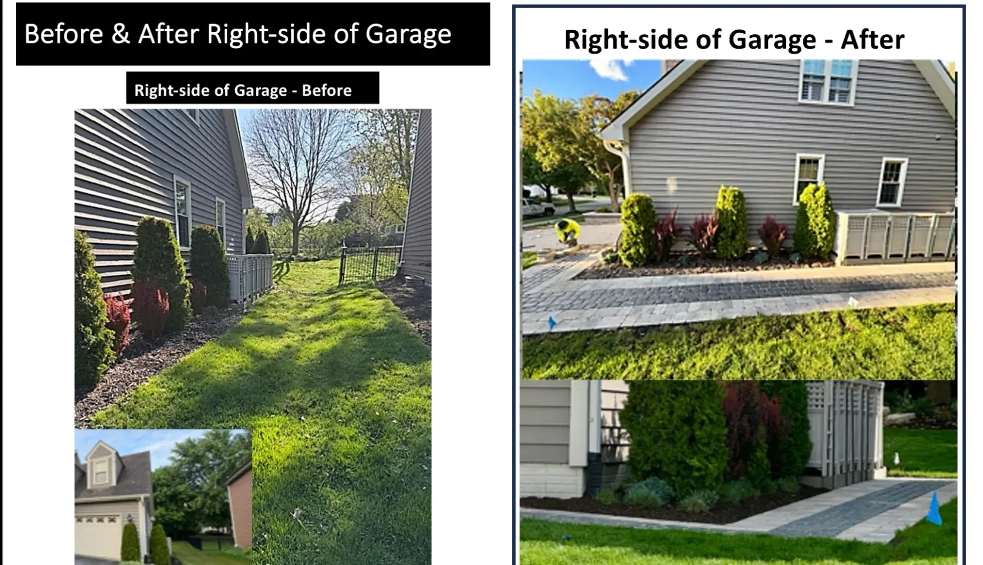 Before-and-after right side of garage: overgrown yard transformed into landscaped garden with plants and mulch.