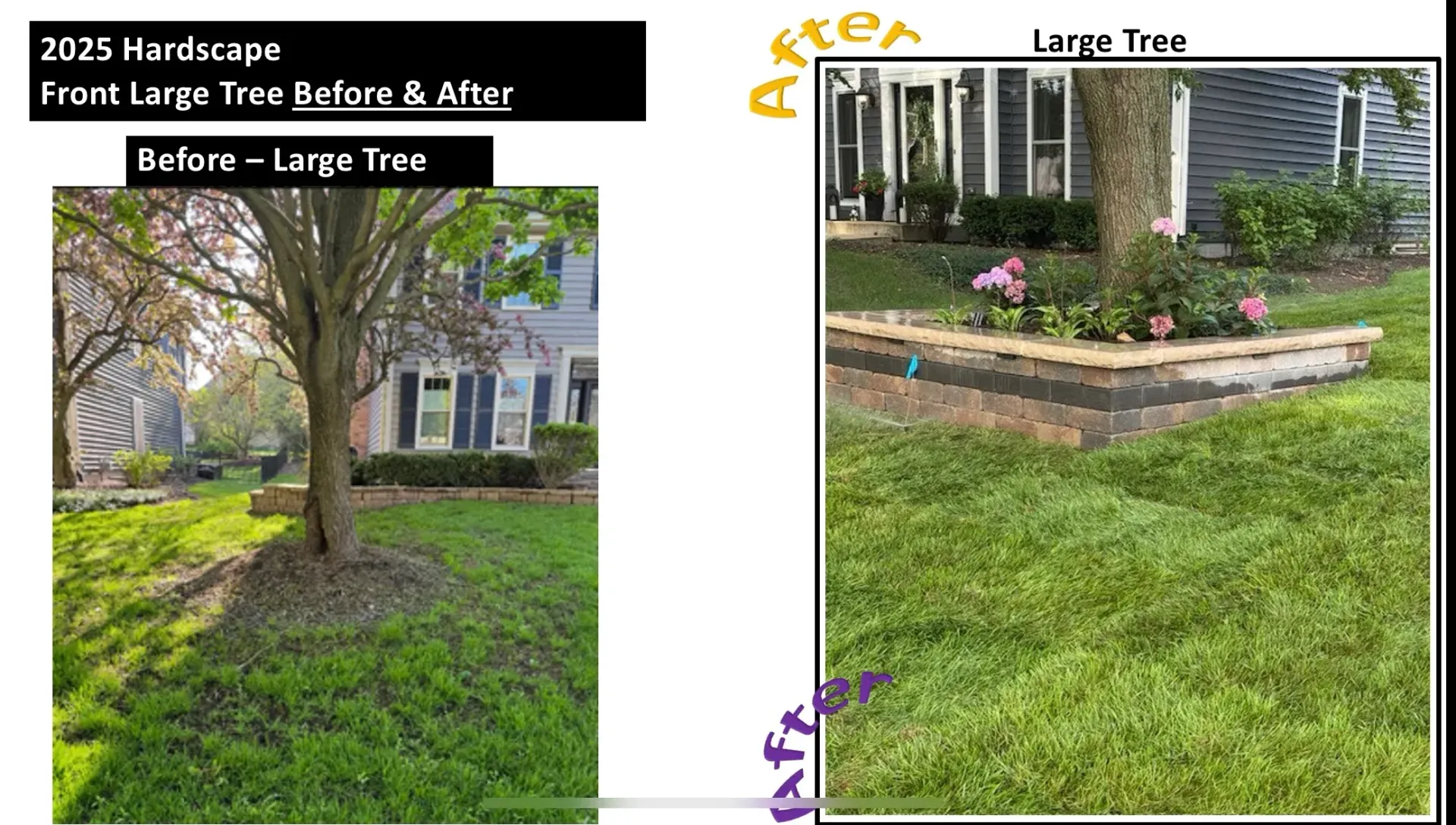Two side-by-side yard photos showing a tree, green lawn, and a raised flower bed by a house.