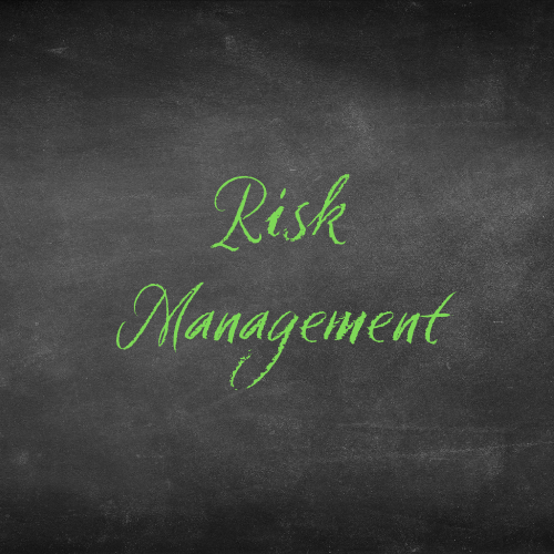 Project Risk Management
