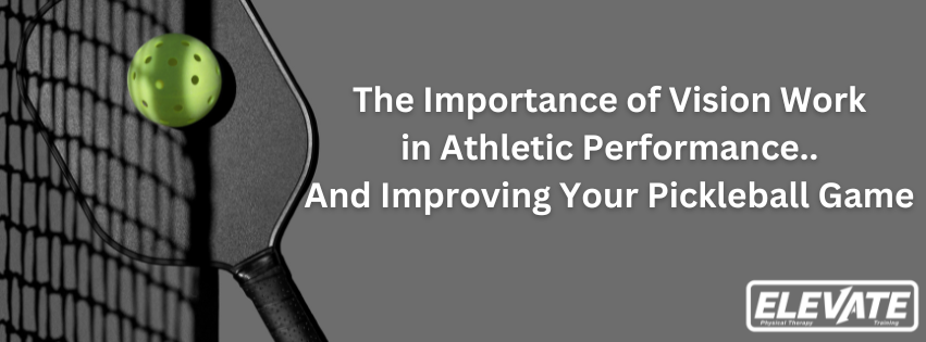 The importance of vision work in athletic performance and improving your pickleball game