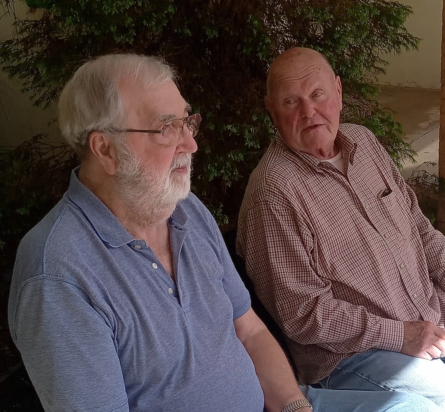 Two men are sitting next to each other in front of a tree