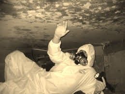 Person in protective suit and mask inspecting ceiling for mold with a flashlight.