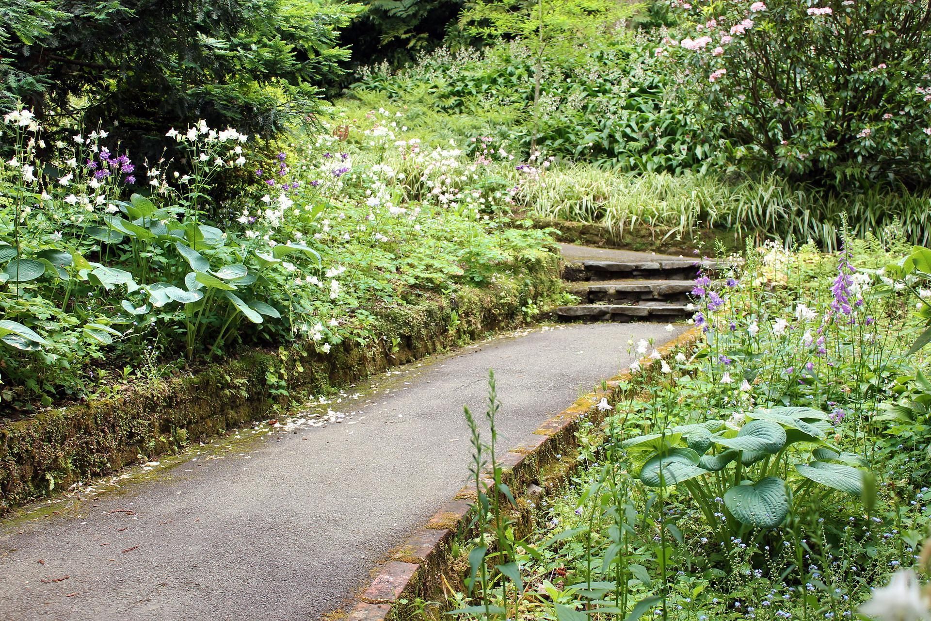 Un camino en un jardín rodeado de flores y árboles.