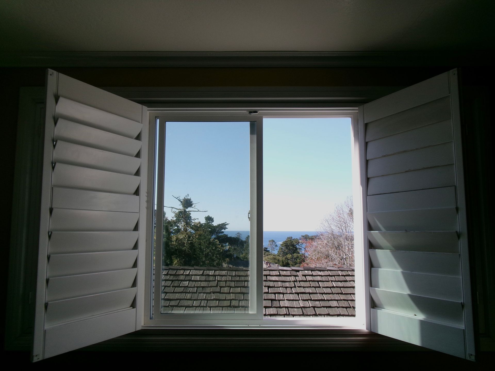 Open white plantation shutters on a window looking out at a sunny coastal view with trees and a clear blue sky.