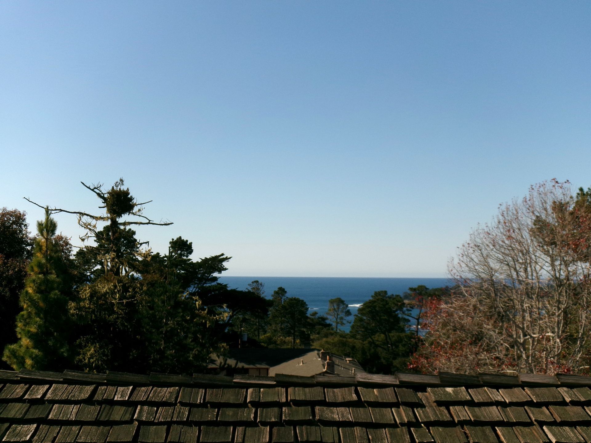A view over a dark shingled roof looking out at trees and the blue ocean under a clear sky.