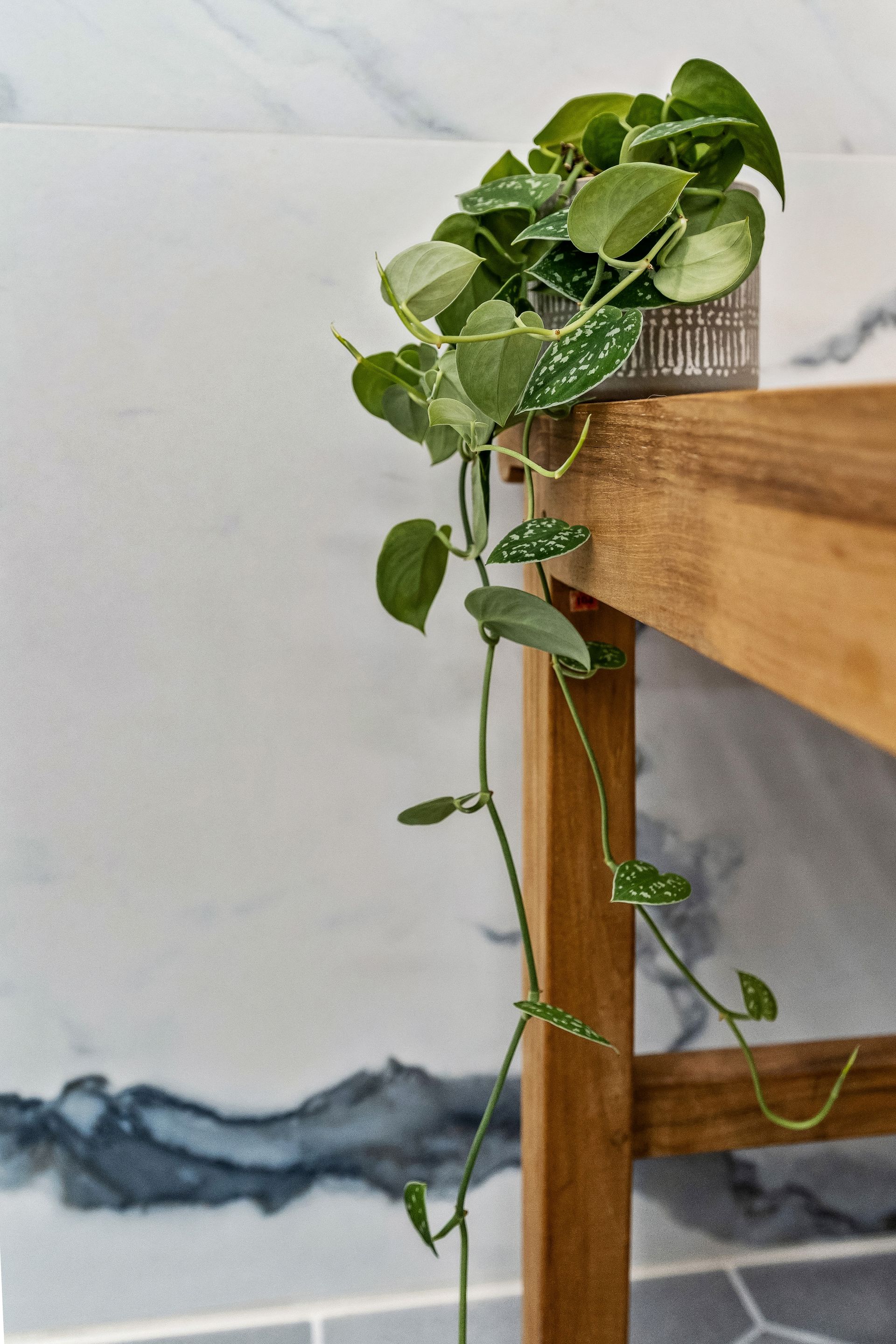A plant is growing on a wooden table in a bathroom.
