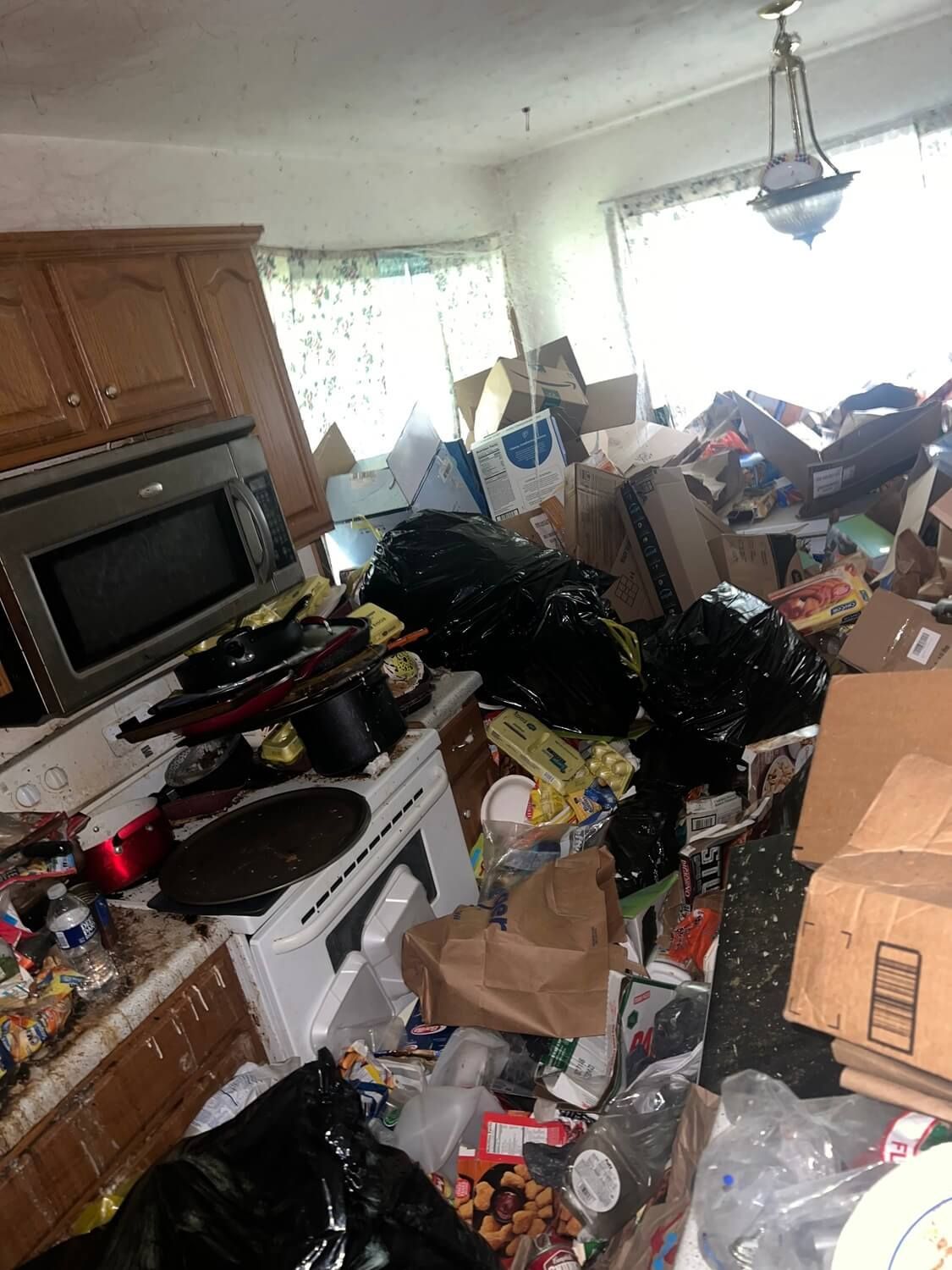 yard debris removal