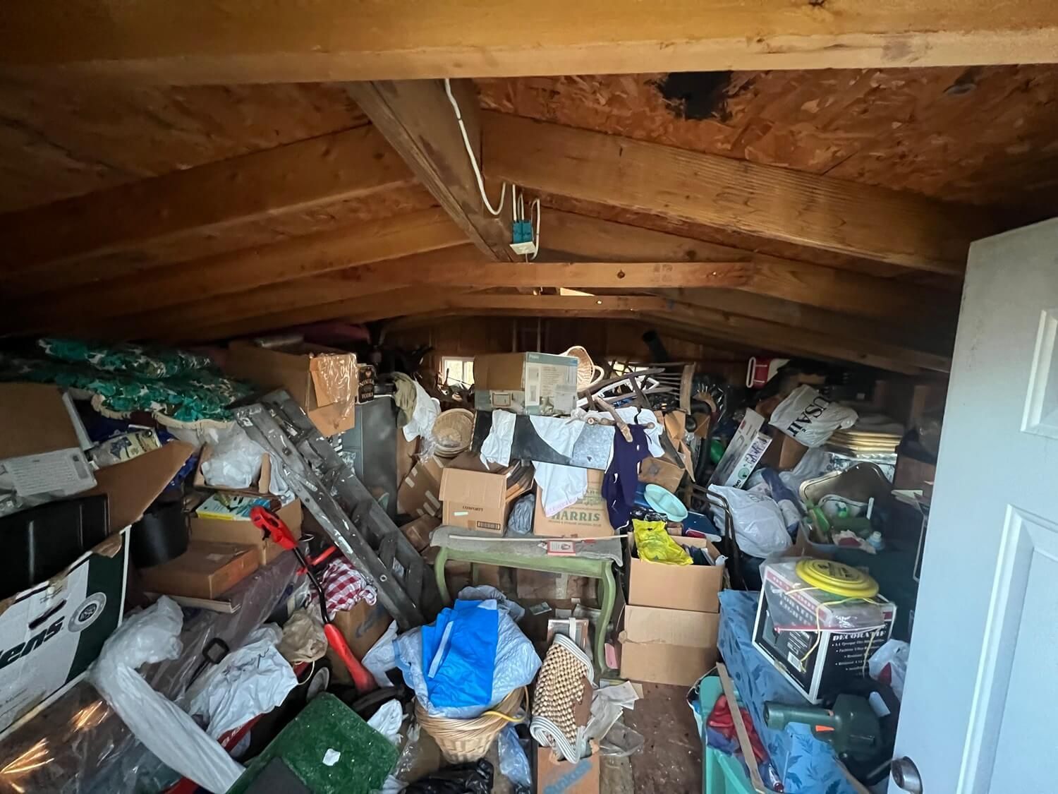 yard debris removal