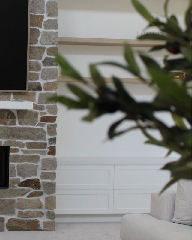 Modern living room with stone fireplace, white paneled wall, and blurred plant in foreground