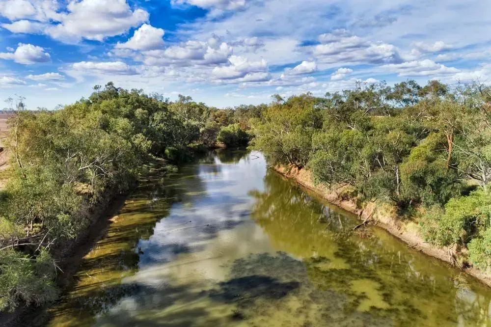 An Aerial View of a River Surrounded by Trees on a Sunny Day — Simmonds Kitchens & Detailed Joinery in Narrabri, NSW