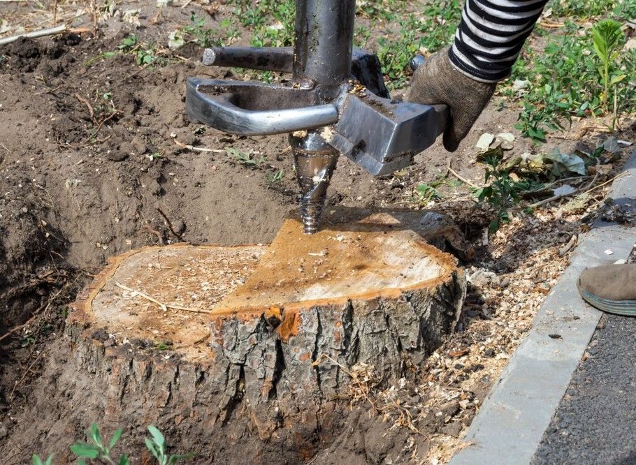 Worker using a hydraulic stump grinder to remove a tree stump beside a curb