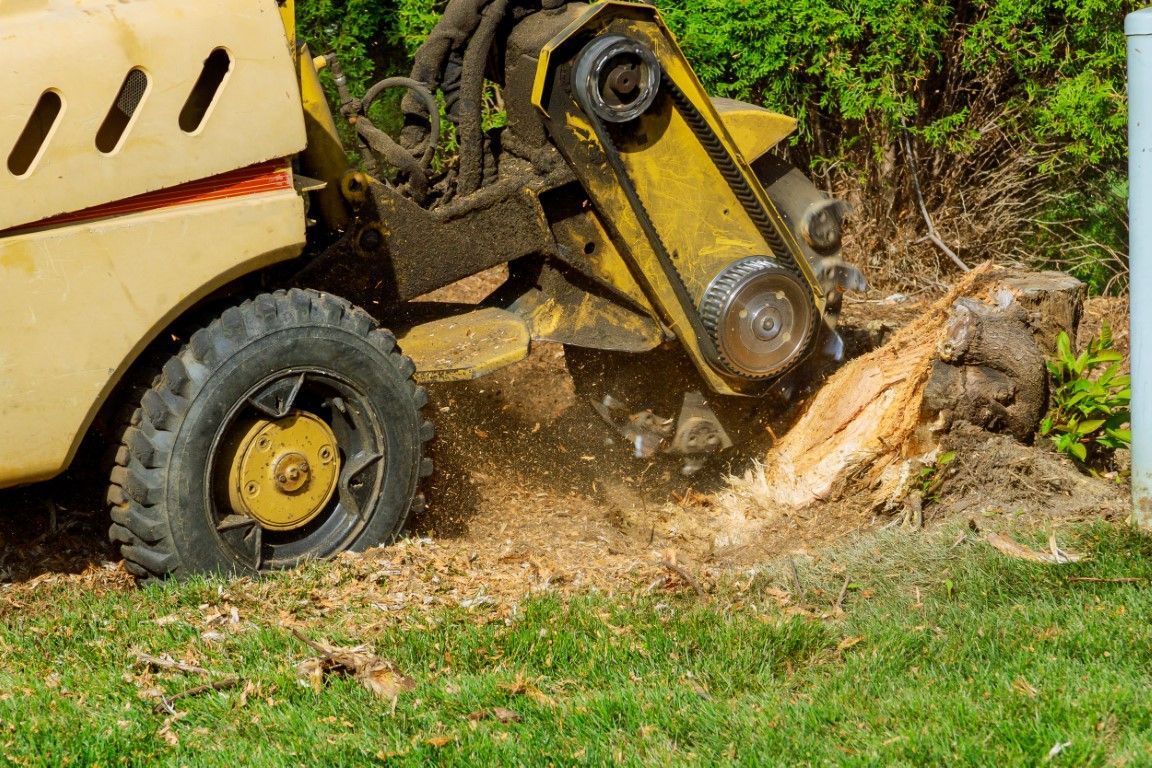 Yellow excavator digging up a tree stump in a grassy yard