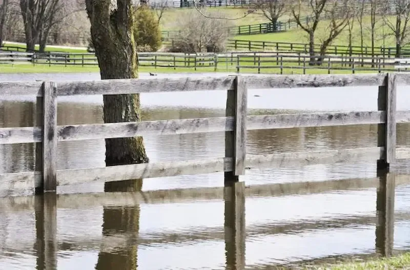 A wooden fence stands in floodwaters that cover a grassy field, with a tree partially submerged in the water.