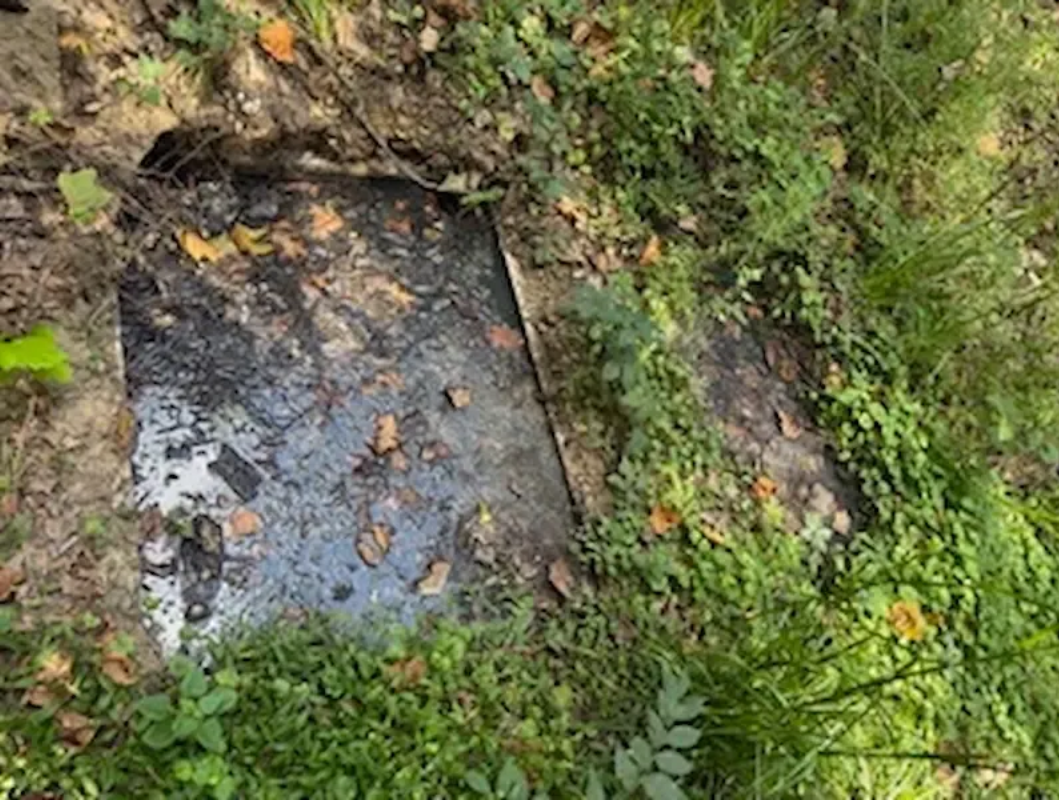 A dark, rectangular metal utility cover embedded in the ground, surrounded by green grass and fallen leaves.