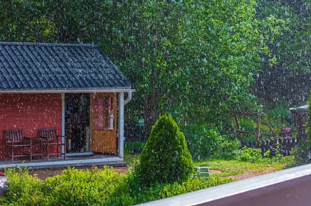 A small red cabin with a dark tiled roof stands amidst lush green trees and shrubs during a light rain shower.