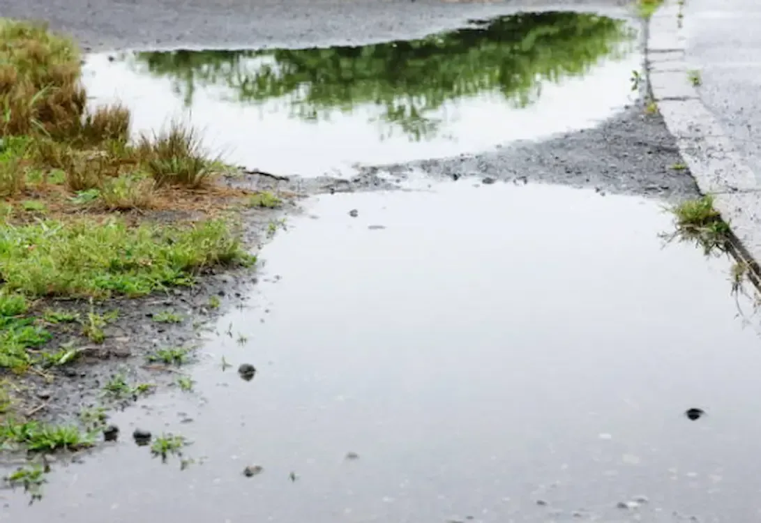 Large, rain-filled puddles sit on an uneven, grassy asphalt surface next to a concrete curb.