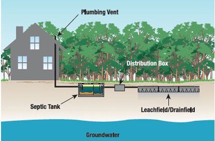 A diagram showing a residential septic system with a house, septic tank, distribution box, and leachfield above groundwater.