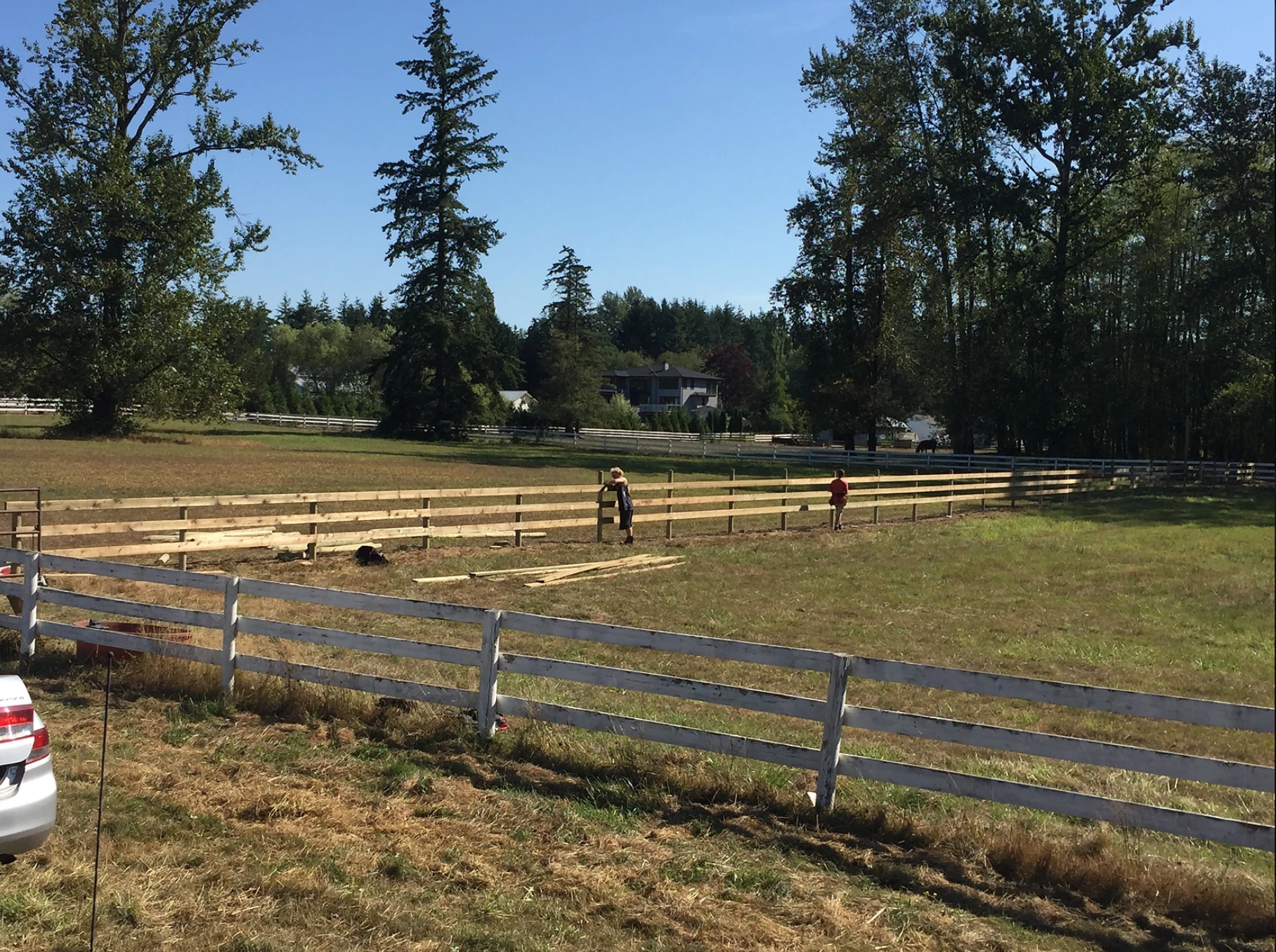 livestock fencing
