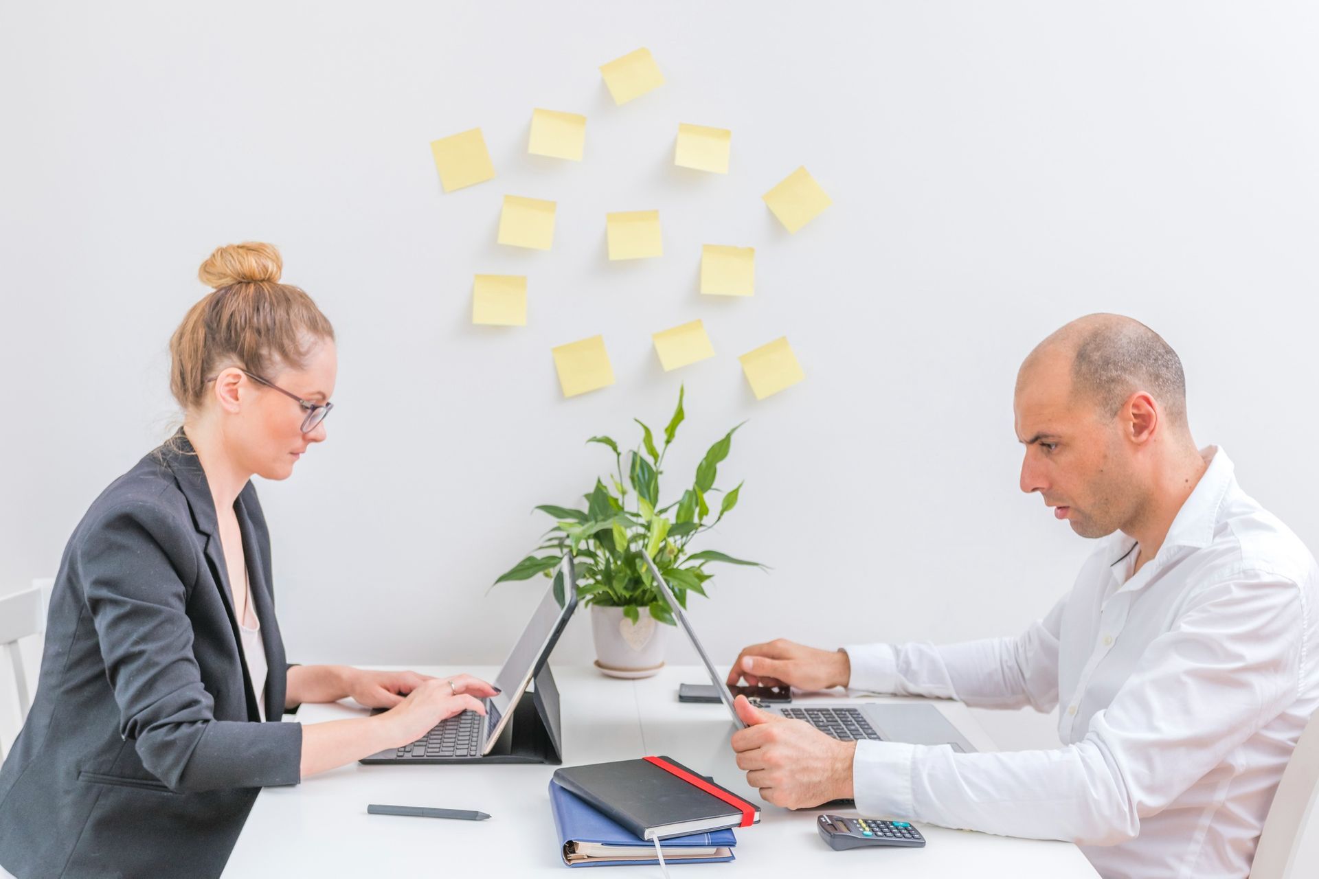 Two people working at a white desk with laptops; sticky notes on the wall; a plant in the center.