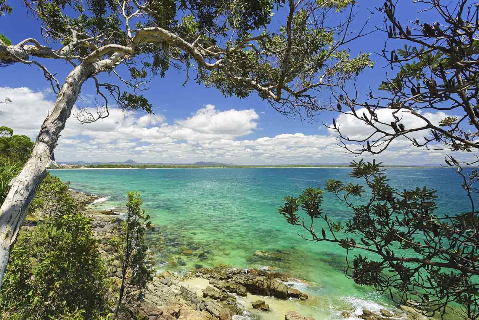 A View Of The Ocean From A Cliff With Trees In The Foreground — Climatech In Noosa, QLD
